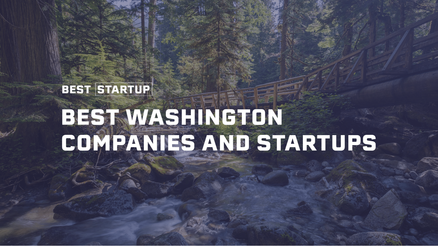 Best Startup US Names Their 101 Best Washington Security Companies and